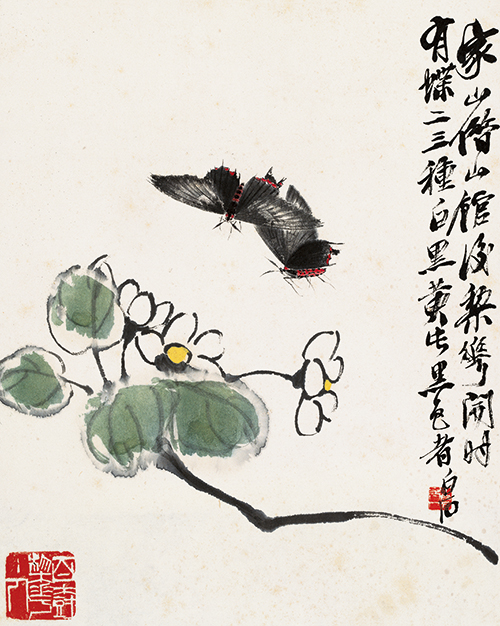 工虫画冊（第一図：白花と鳳蛾）