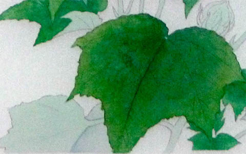 工程3 彩色(顔料と染料)