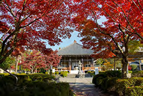 櫟野寺本堂