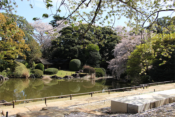 庭園リニューアル（全面開放）