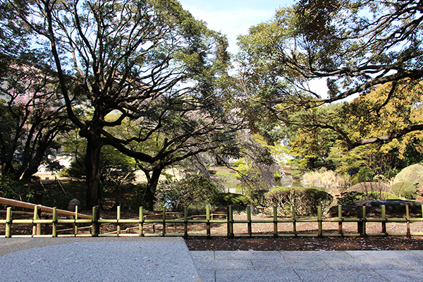 春草廬からの新しい景色の画像