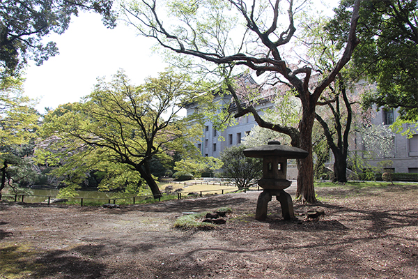 見晴らしがよくなった庭園の画像