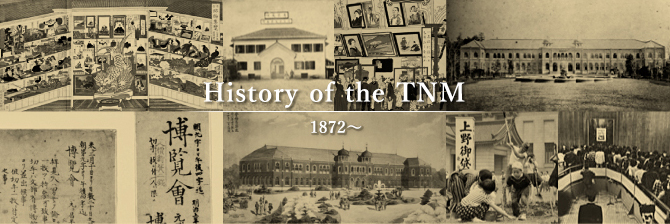 History of the TNM 1872~