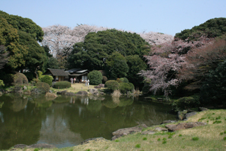 庭園・茶室