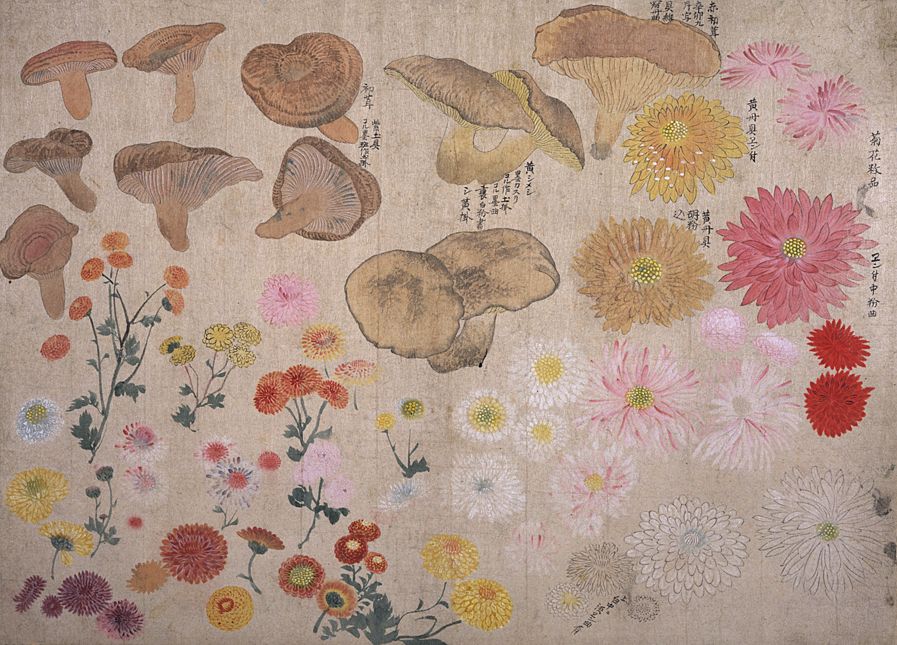 東京国立博物館 - コレクション コレクション一覧 名品ギャラリー 館蔵