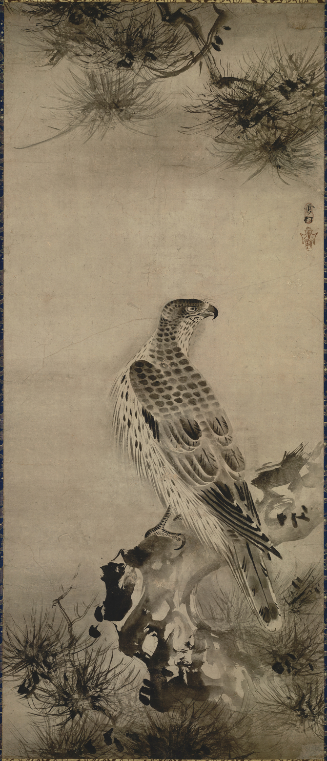 Image of "Hawks and pines."