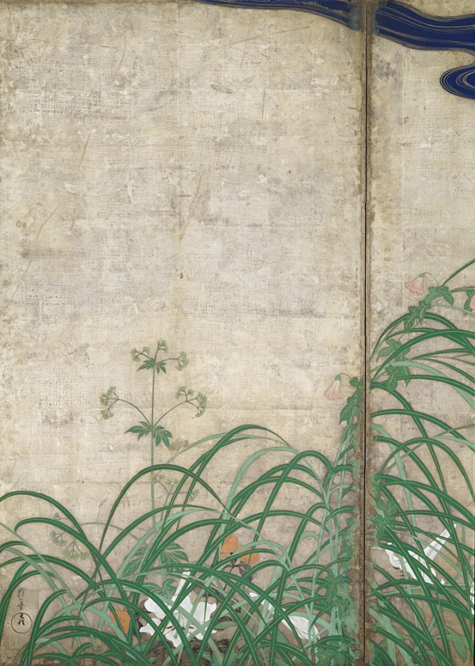 Image of "Flowering plants of summer and autumn."