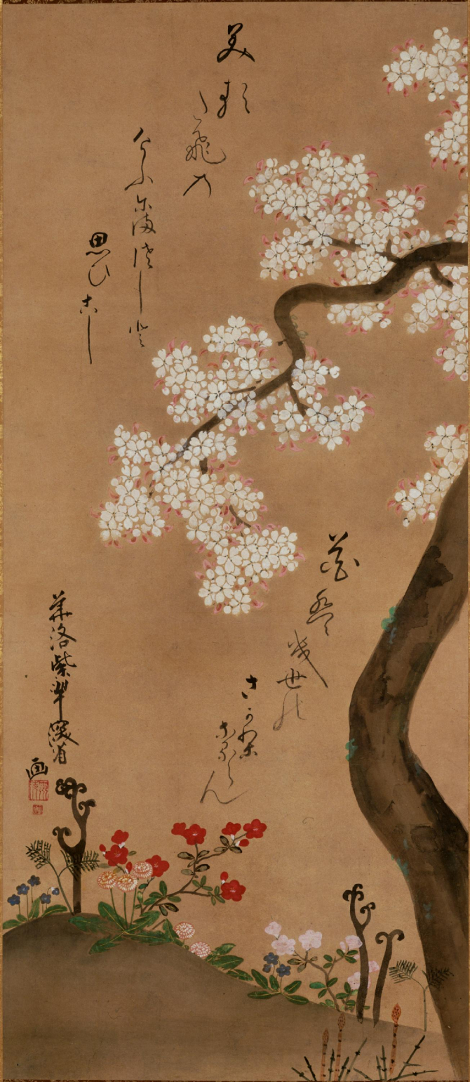 Image of "Cherry Tree and Spring Plants"