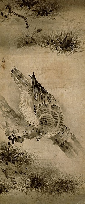 Image of "Hawks and pines."