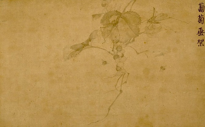Image of "Grapes."