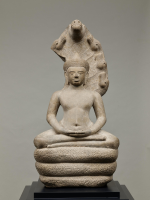 Image of "Buddha protected by the Naga."