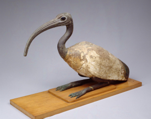 Image of "Ibis."