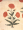 Image of "Floor covering, chintz."