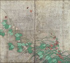 Image of "Flowering plants of summer and autumn."