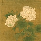 Image of "Red and white hibiscuses."