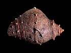 Image of "Shell shaped clay object."