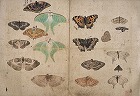 Image of "Album of sketches."
