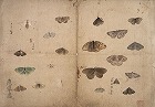 Image of "Album of sketches."