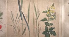 Image of "Album of sketches."