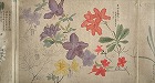 Image of "Album of sketches."