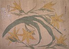 Image of "Album of sketches."