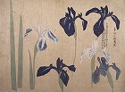 Image of "Album of sketches."