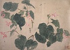 Image of "Album of sketches."