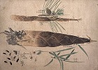 Image of "Album of sketches."