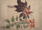 Image of "Album of sketches."