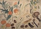Image of "Album of sketches."
