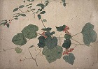 Image of "Album of sketches."
