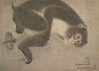 Image of "Album of sketches."