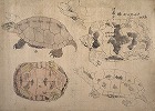 Image of "Album of sketches."