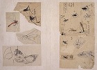Image of "Album of sketches."