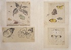 Image of "Album of sketches."