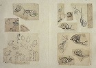 Image of "Album of sketches."