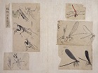 Image of "Album of sketches."