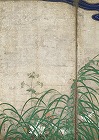 Image of "Flowering plants of summer and autumn."
