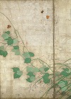 Image of "Flowering plants of summer and autumn."