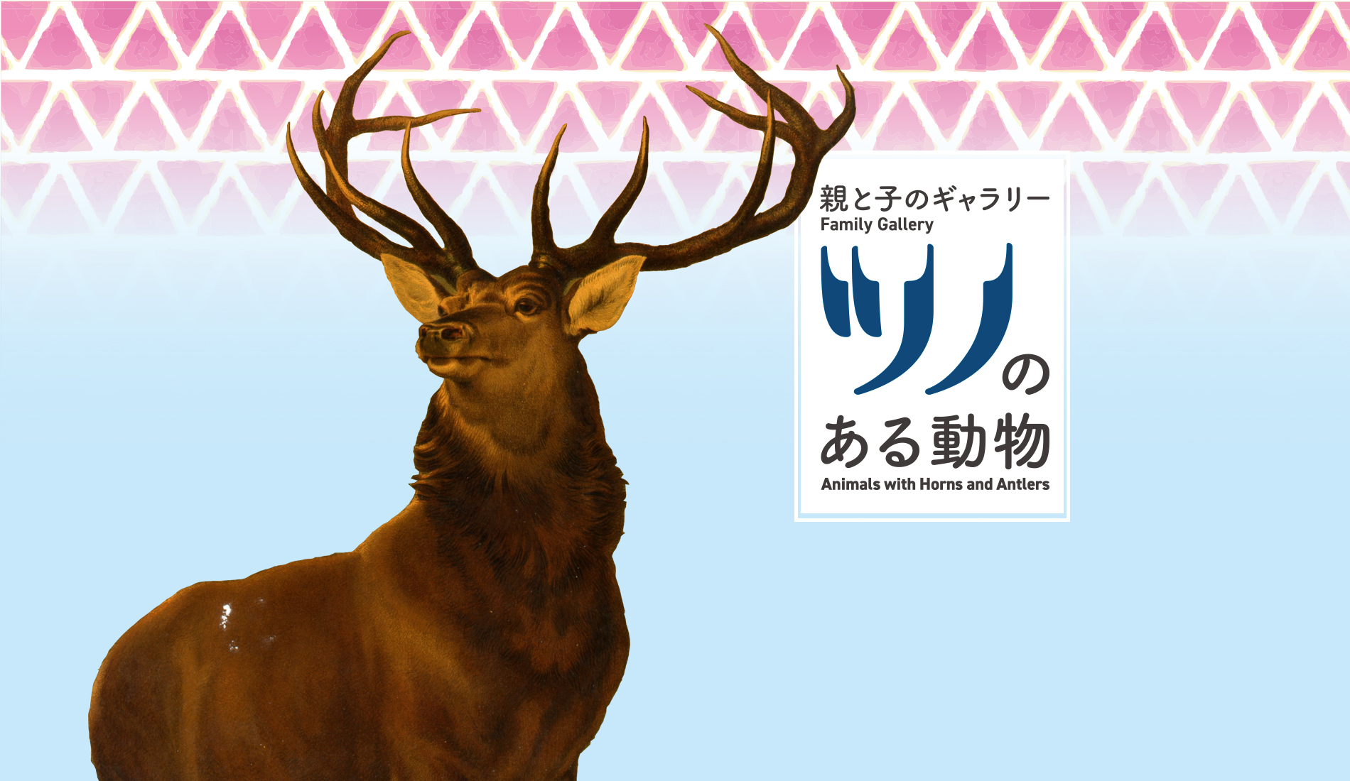 Animals with Horns and Antlers