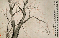 東京国立博物館 - 展示・催し物 展示 東洋館（アジアギャラリー） 梅花