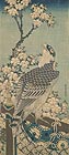 『桜花に鷹　葛飾北斎筆　江戸時代・19世紀』の画像