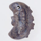 Image of "Compound Magatama beads, from Funao, Inzai-shi, Chiba, Kofun period, 6th century (Gift of Mr. Katori Syujiro)"