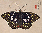 Image of "Albums of Insects and Worms, By Mashiyama Sessai, Edo period, 19th century"