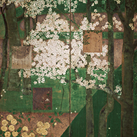 Image of "Cherry Trees and Kerria Plants, By Tawaraya Sotatsu, Edo period, 17th century (Gift of Mr. Tazawa Fusataro)"