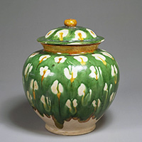 Image of "Jar, Three-color glaze with plum blossoms, China, Tang dynasty, 8th century (Gift of Mr. Hirota Matsushige)"