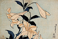 『重要美術品　百合　葛飾北斎筆　江戸時代・19世紀』の画像