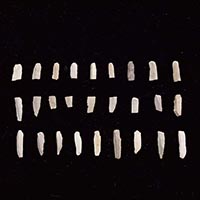 Image of "Microblades, From Araya Site, Araya, Nishikawaguchi, Nagaoka-shi, Niigata, Paleolithic period, 16000 BC (Gift of Mr. Hoshino Ryo)"
