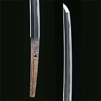 Image of "Katana Sword, Known as “Kikko Sadamune” (detail), By Sadamune, Kamakura-Nanbokucho period, 14th century (National Treasure, Gift of Mr. Watanabe Seiichiro)"