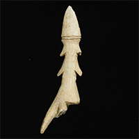 Image of "Toggling Harpoon HeadIn shape of swallow tail, Excavated at Nakazawahama Shell Mound, Rikuzentakata-shi, Iwate, Jomon period, 1000–400 BC (Gift of Mr. Tokugawa Yorisada)"